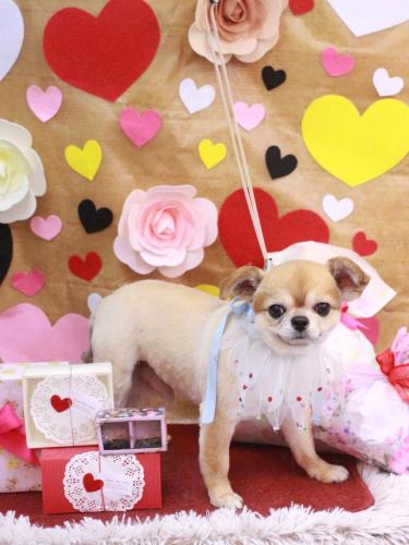 20220215たろうくん